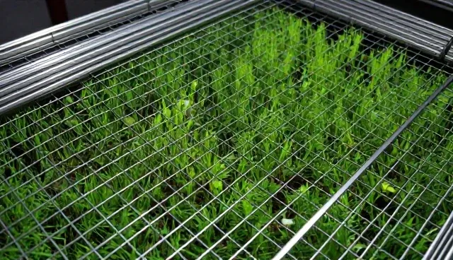 售后支持的适用情况与限制分析